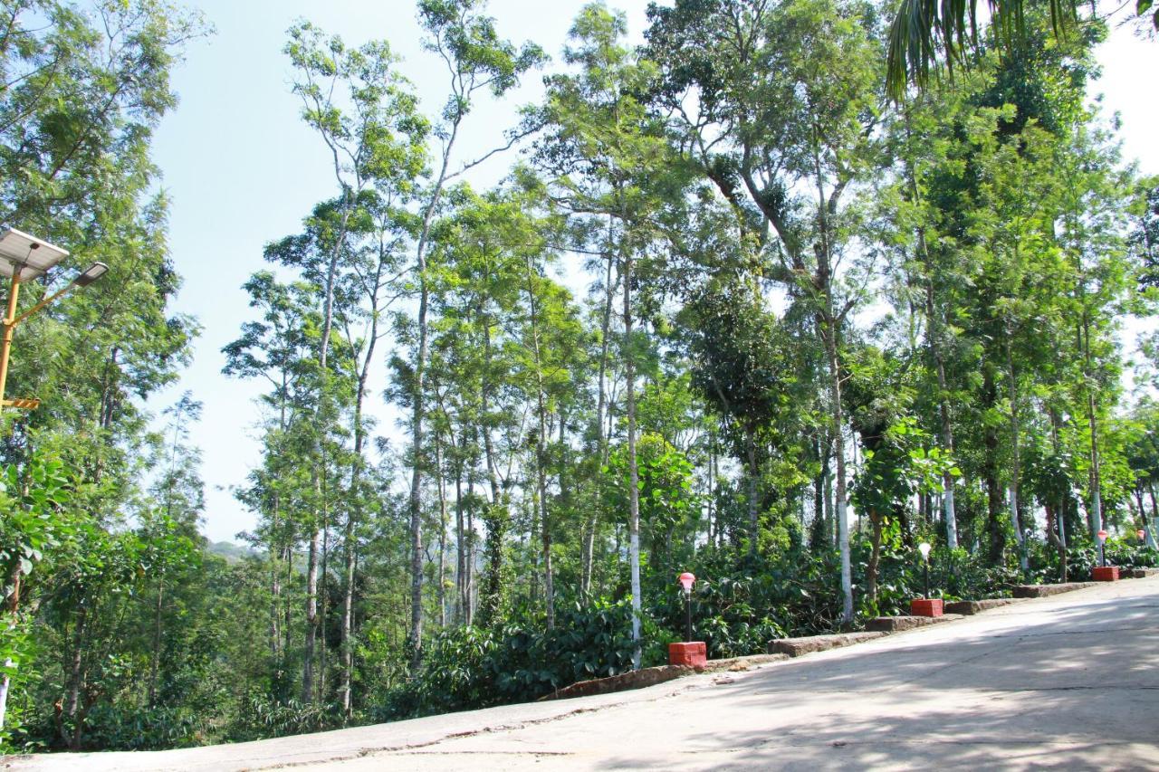 Kingmaker'S Plantation With River Stream Madikeri Kültér fotó