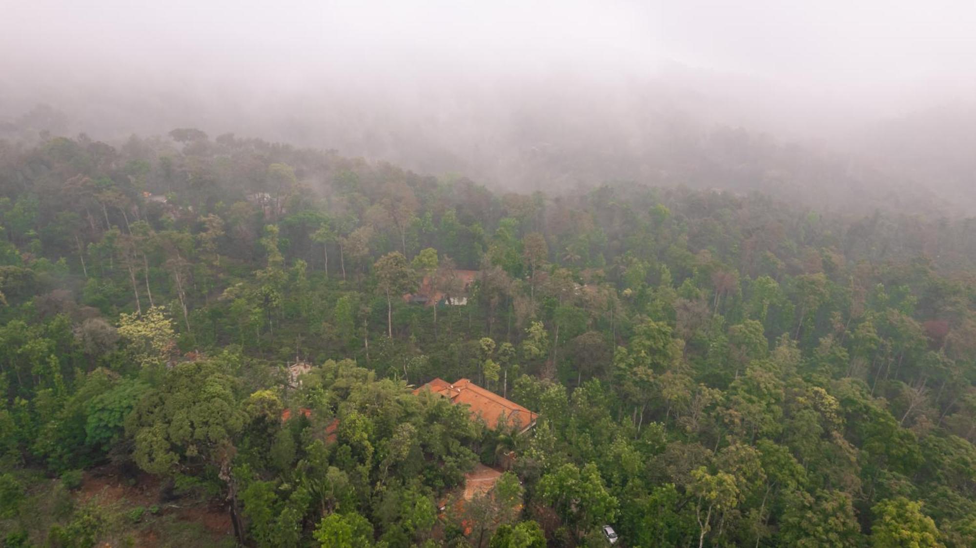 Kingmaker'S Plantation With River Stream Madikeri Kültér fotó