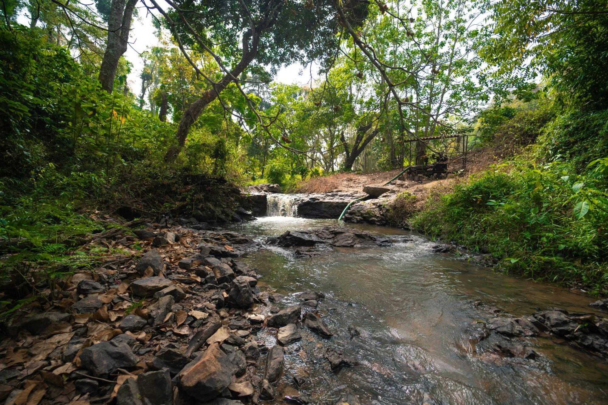 Kingmaker'S Plantation With River Stream Madikeri Kültér fotó
